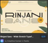 Rinjani Sans - Wide Stretch Typeface.jpg