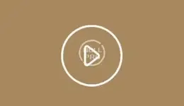 1647084421811.webp