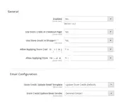 settings_for_store_credit_extension.webp