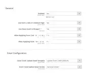 settings_for_store_credit_extension.webp