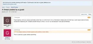 Reply awaiting moderation until email confirmation.webp