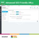 advanced-seo-friendly-urls (1).webp