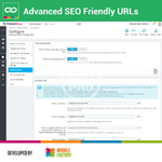 advanced-seo-friendly-urls (4).webp