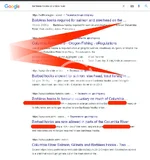 4.webp