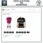 auction-pro-online-auctions-bidding (1).jpg