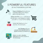 auction-pro-online-auctions-bidding.webp