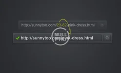 Advanced-friendly-url-module-cover.webp
