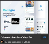 Collegro - A Premium College Social Media App UI Kit.webp