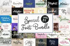 special-font-bundle-includes-39-fonts.webp