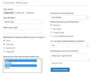 customer_attributes.webp