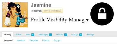 profile-visibilty-manager.webp