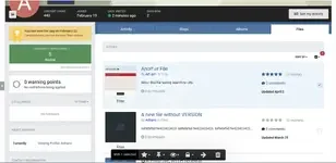 Files Tab on User Profile.webp