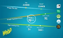 webp3.webp