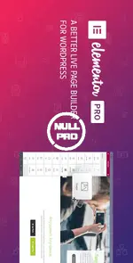 elementor-pro.webp