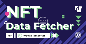 01_NFT_Data_Fetcher.webp