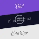 Divi-Shortcode-Enabler-1.webp