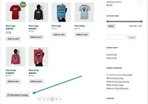 store-catalog-pdf-download-button.webp