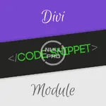 Divi-Code-Snippet-Module-1.webp