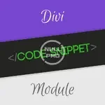 Divi-Code-Snippet-Module-1.webp