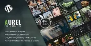 Aurel WP - 590x300.__large_preview.webp