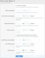 redis-options.webp