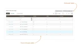 watchlog-magento-2-wyomind-login-attempts-grid-summarized.webp