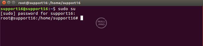 ubuntu-terminal.webp