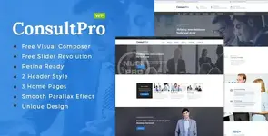 00-ConsultPro-Preview-wp.__large_preview.webp