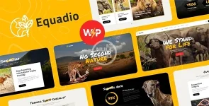 01_Equadio.webp 01_Equadio.webp