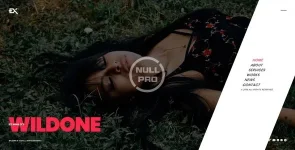 01_Wildone.__large_preview.webp