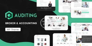 01-auditing-new.webp