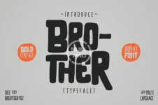 Brother-Fonts-24004417-1-1-580x386.webp