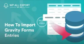 Import-Gravity-Forms-Entries-Video-1024x537.webp