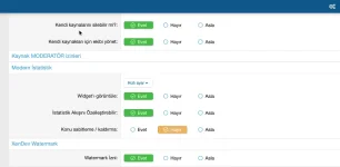 XenDev Watermark-2.webp