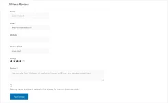 write-a-review-interface-on-website.webp