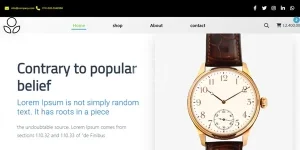preview-xl.webp