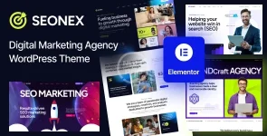 01_seonex-preview.webp